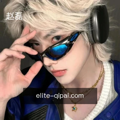 赵磊